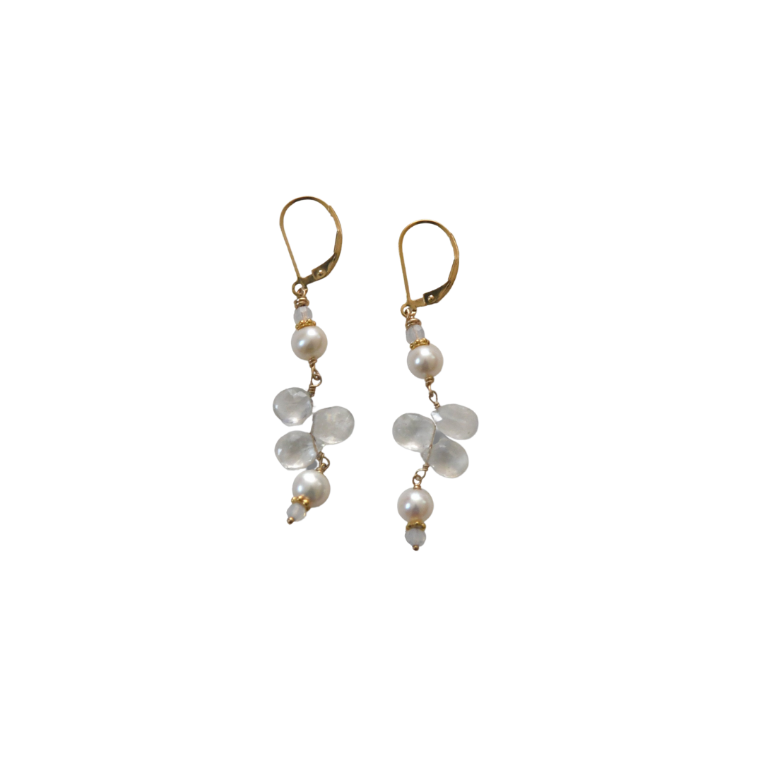 Dragonfly Earring-2 Color Options